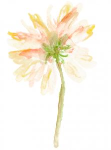 illustrative 32