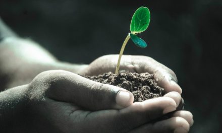 10 tapaa, miten mormonit voivat saada aikaan sydämen muutoksen ja muuttaa maailmaa