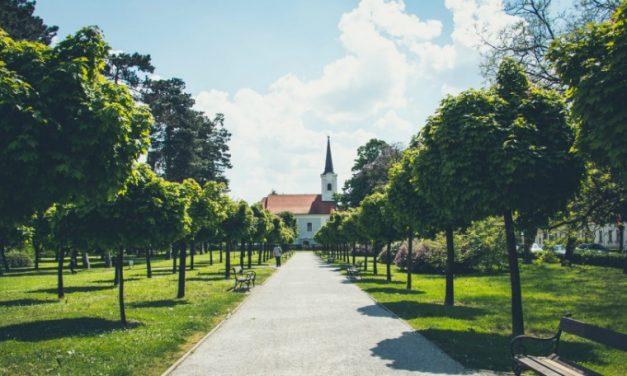 Restorationistiset liikkeet Yhdysvaltojen historiassa