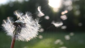 Hengen tunteminen tarkoittaa useimmiten hyviä tunteita, jotka ovat muun muassa hengellisille ihmisille yhteisiä.